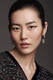 Liu Wen