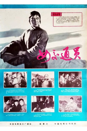 Locandina di 女交通员
