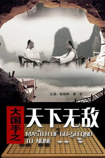 Locandina di 大国手之天下无敌