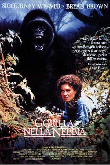 Locandina di Gorilla nella nebbia