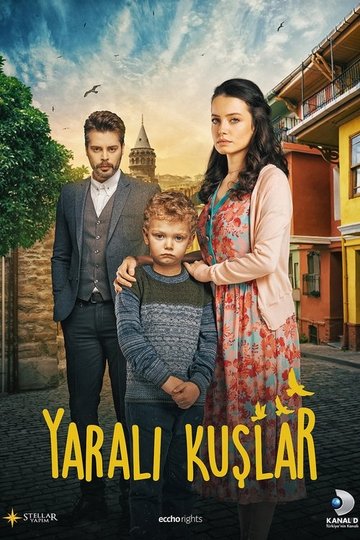 Locandina di Yaralı Kuşlar