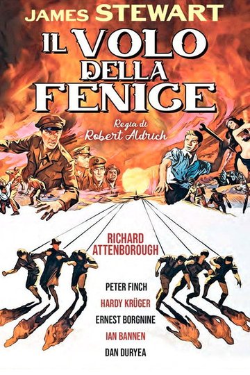 Locandina di Il volo della fenice