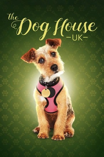 Locandina di The Dog House