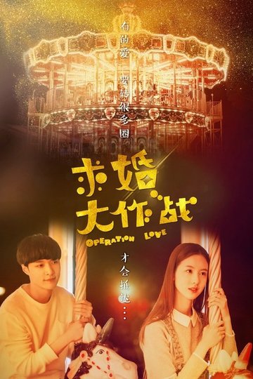Locandina di 求婚大作战