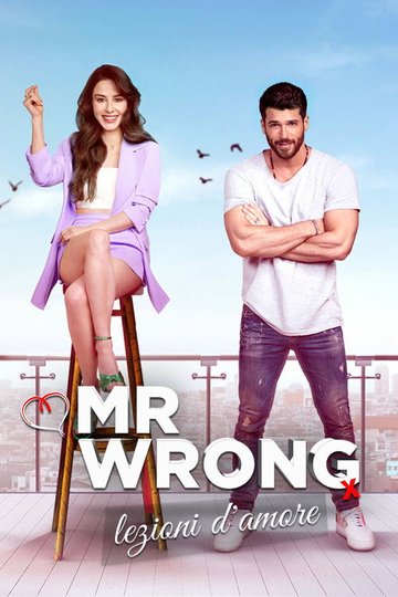 Locandina di Mr. Wrong - Lezioni d'amore