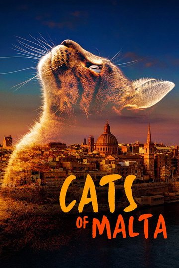 Locandina di Cats of Malta