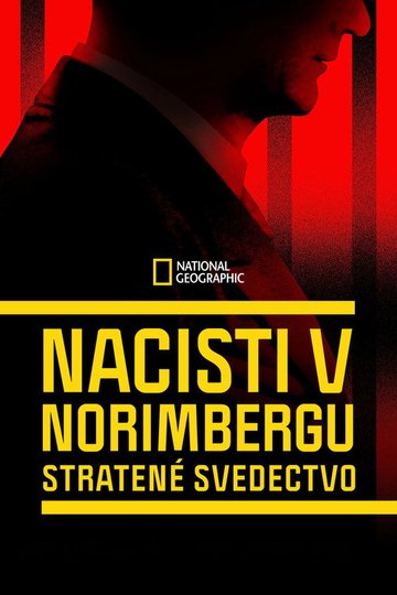 Locandina di Il processo di Norimberga: le verità nascoste
