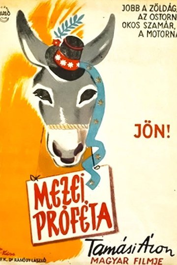 Locandina di Mezei próféta