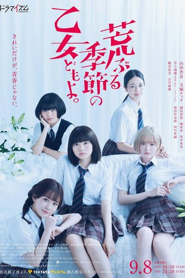 Locandina di 荒ぶる季節の乙女どもよ｡