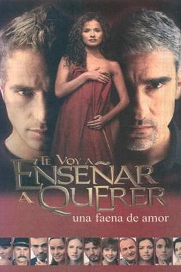 Locandina di Te voy a enseñar a querer