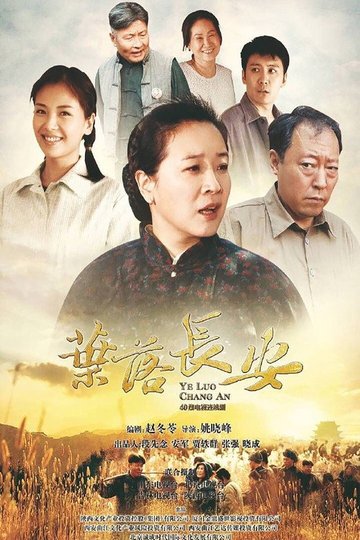 Locandina di 叶落长安