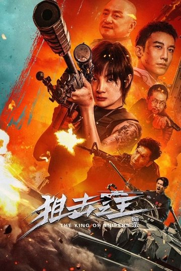 Locandina di 狙击之王：暗杀