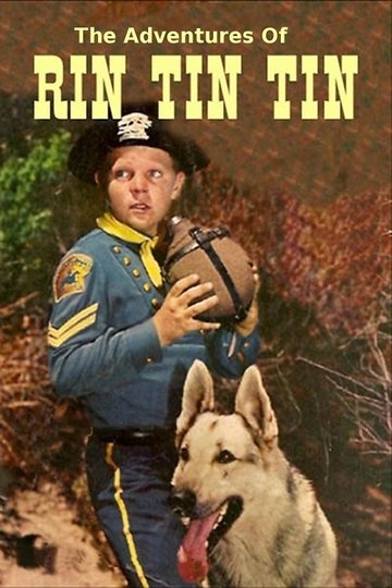 Locandina di Rin Tin Tin