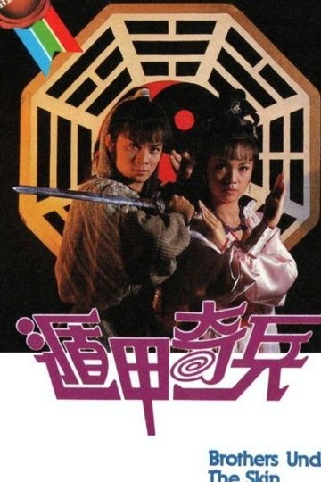 Locandina di 遁甲奇兵