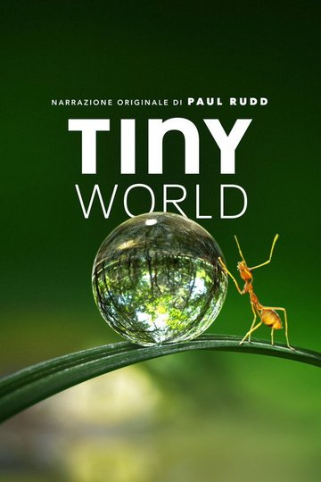 Locandina di Tiny World