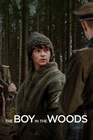Locandina di The Boy in the Woods
