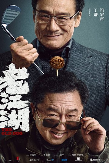 Locandina di 老江湖