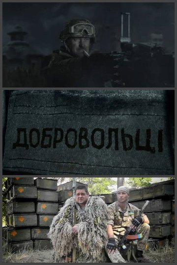 Locandina di Добровольці
