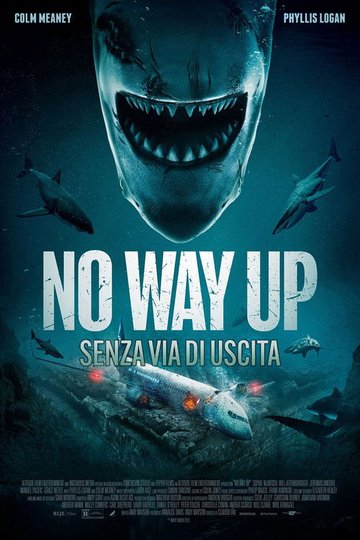 Locandina di No way up - Senza via di uscita