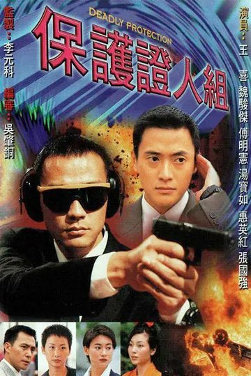 Locandina di 保護證人組