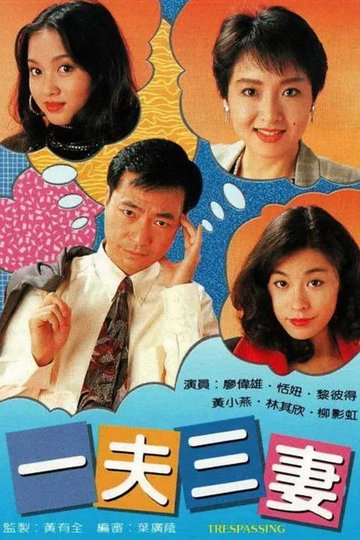 Locandina di 一夫三妻