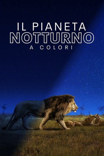 Locandina di Il pianeta notturno a colori