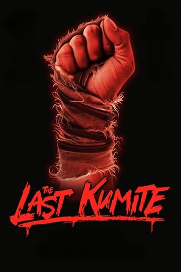 Locandina di The Last Kumite