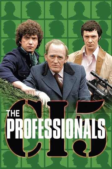 Locandina di I professionals