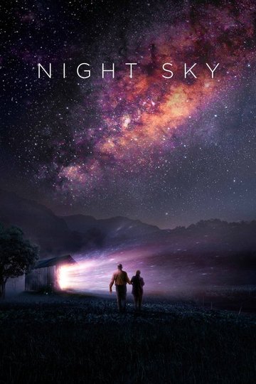 Locandina di Notte stellata