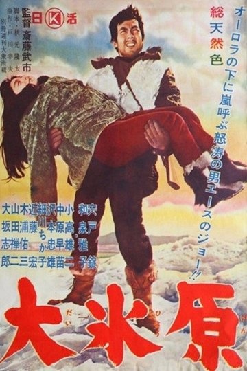 Locandina di 大氷原