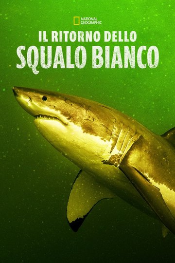 Locandina di Return of the White Shark