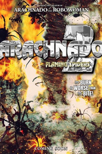 Locandina di Arachnado 2: Flaming Spiders
