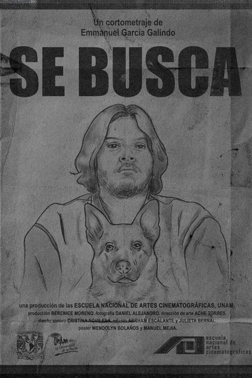 Locandina di Se Busca
