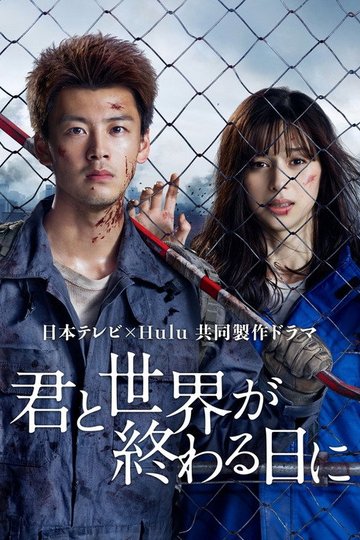 Locandina di 君と世界が終わる日に