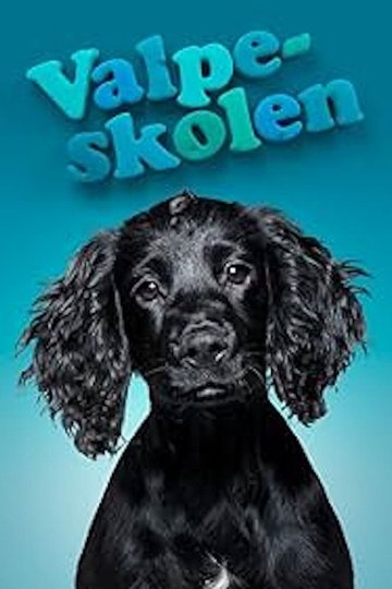 Locandina di Valpeskolen