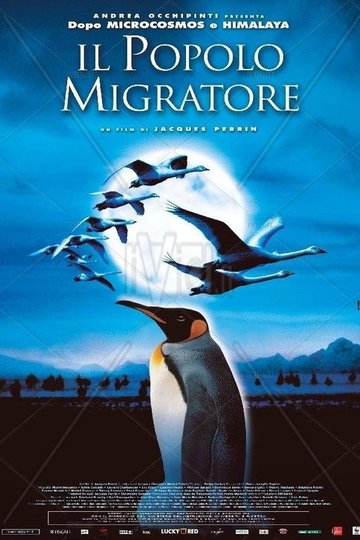 Locandina di Il popolo migratore
