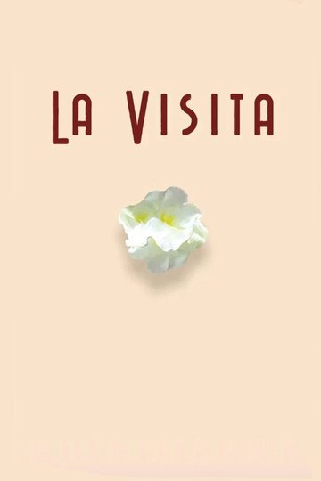 Locandina di La visita