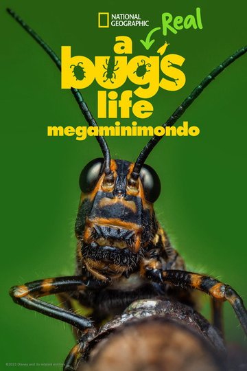 Locandina di A Real Bug's Life - Megaminimondo