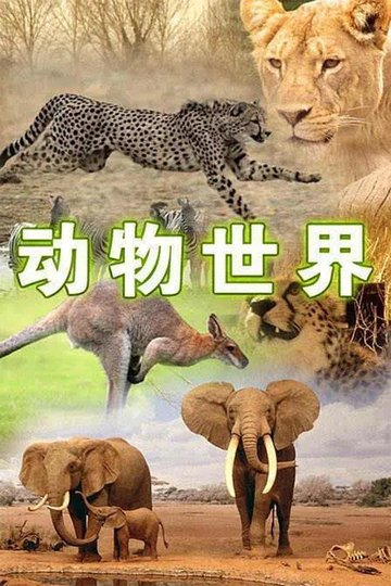 Locandina di 动物世界