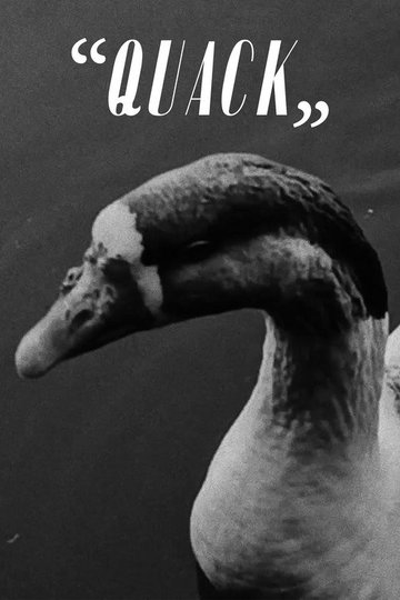 Locandina di “Quack”