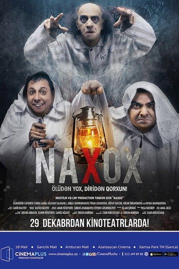 Locandina di Naxox