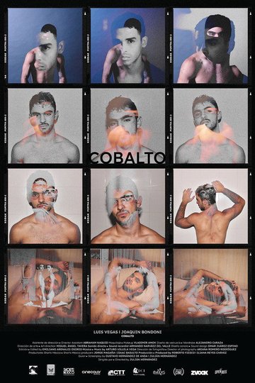 Locandina di Cobalto