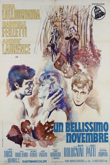Locandina di Un bellissimo novembre