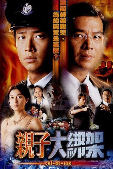 Locandina di 親子大綁架