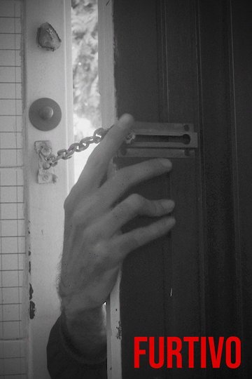 Locandina di Furtivo