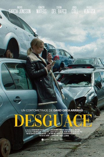 Locandina di Desguace
