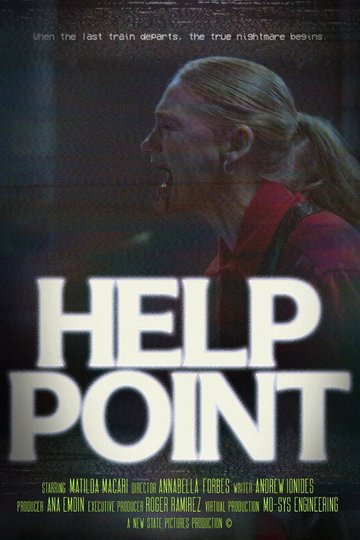 Locandina di Help Point
