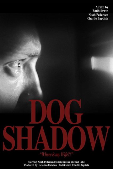 Locandina di Dog Shadow
