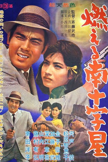 Locandina di 燃える南十字星