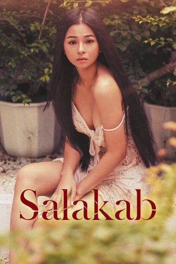 Locandina di Salakab